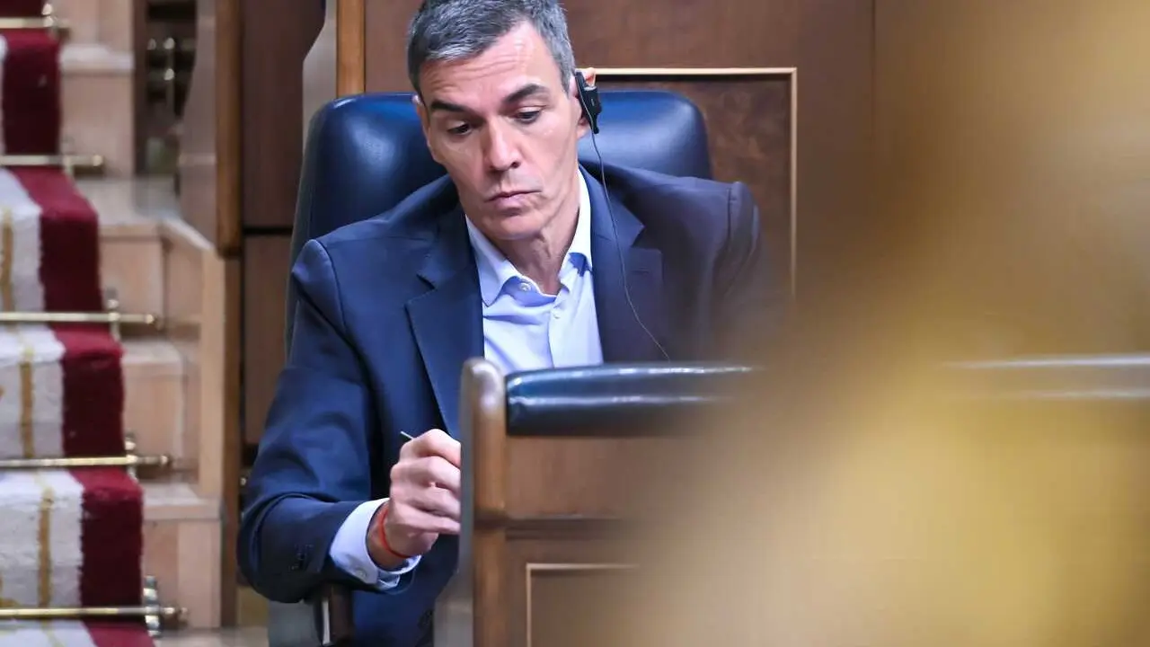 El presidente del Gobierno, Pedro S&aacute;nchez, durante una sesi&oacute;n plenaria en el Congreso 