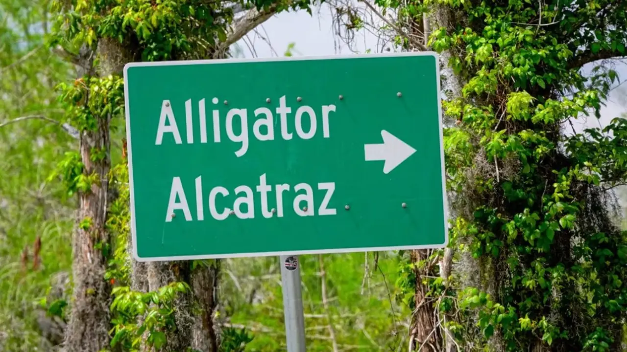 El 'Alcatraz de los caimanes' en Florida cierra menos de un a&ntilde;o tras abrir