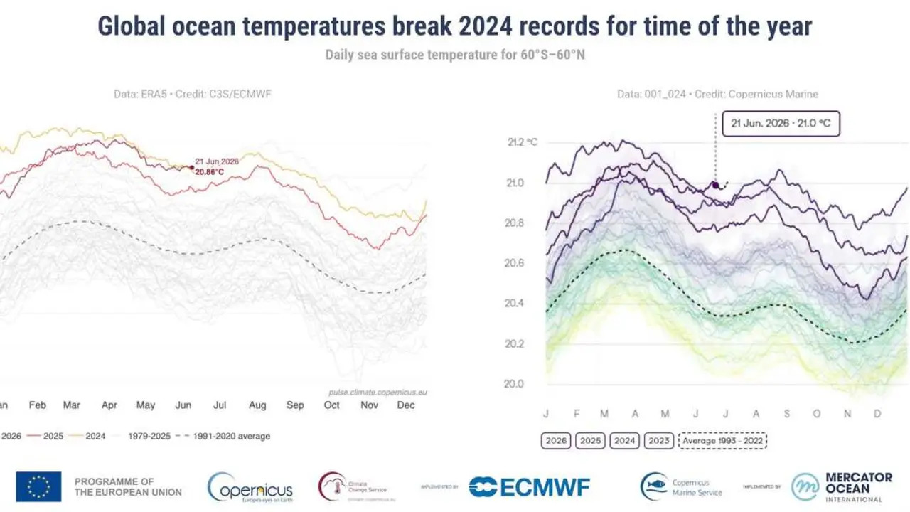 Las temperaturas diarias de la superficie del mar a nivel mundial baten r&eacute;cords para la &eacute;poca del a&ntilde;o, seg&uacute;n Copernicus