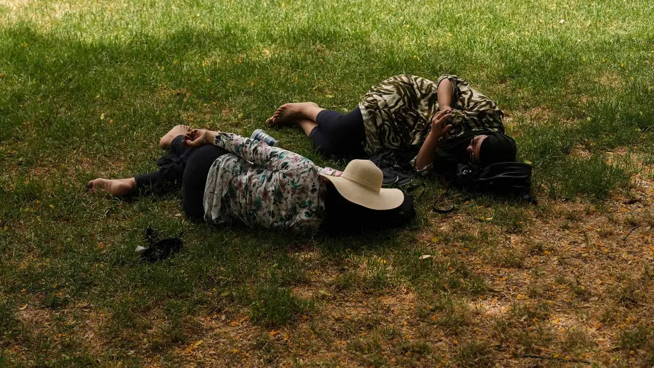 Dos personas tumbadas a la sombra. A 23 de junio de 2026, en Sevilla (Andaluc&iacute;a, Espa&ntilde;a). 