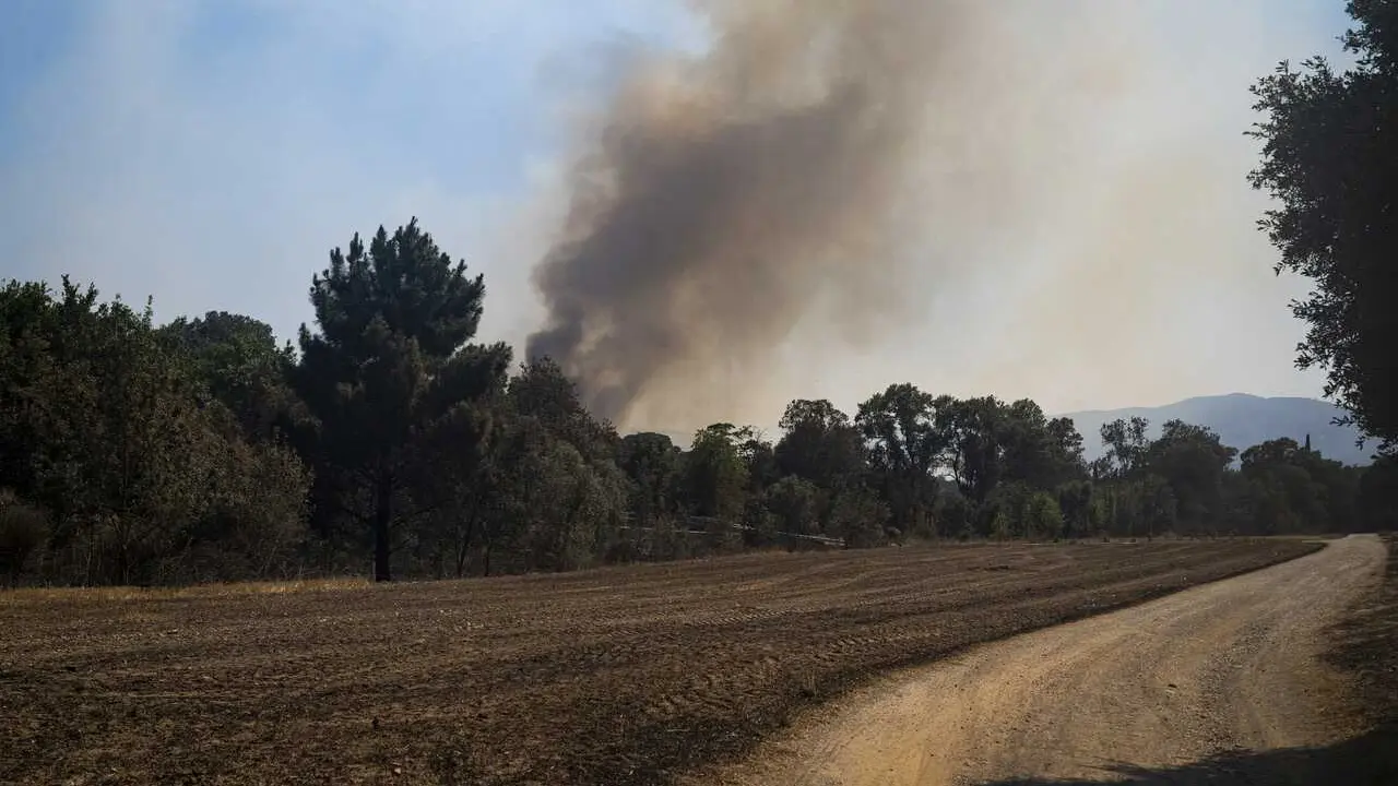 Vista del incendio de La Bisbal d'Empord&agrave;, a 4 de julio de 2026, en Cru&iuml;lles-Sant Sadurn&iacute; de l'Heura, Girona, Catalu&ntilde;a (Espa&ntilde;a).