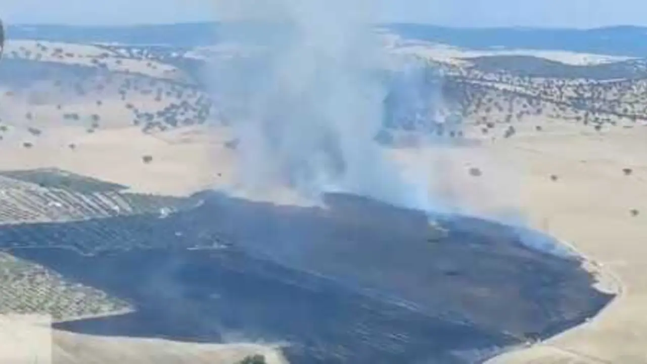 Incendio forestal declarado en el paraje de La Castilleja, situado en el t&eacute;rmino municipal de Pe&ntilde;arroya-Pueblonuevo (C&oacute;rdoba).
