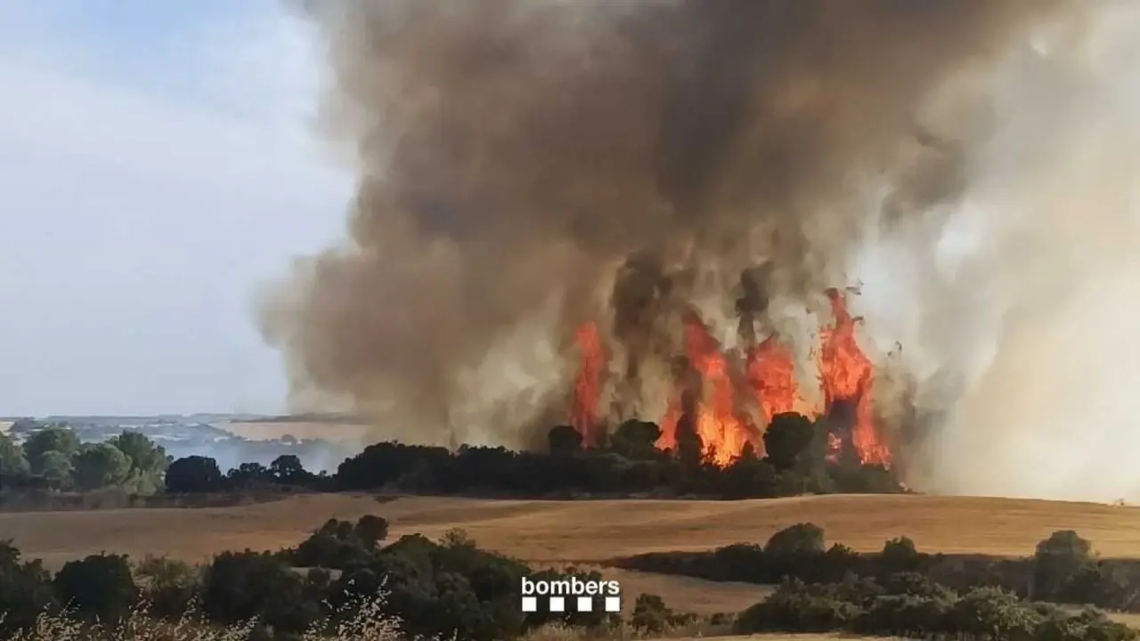 Incendio en Guimer&agrave; (Lleida) este jueves