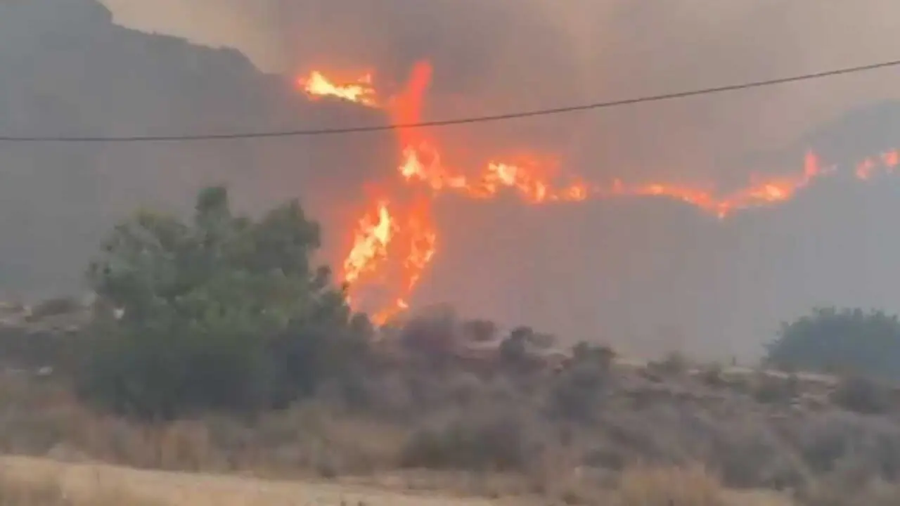 Incendio de Los Gallardos (Almer&iacute;a)