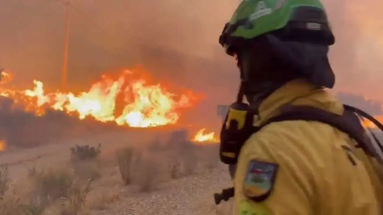 Un bombero forestal combate el incendio declarado en Los Gallardos (Almer&iacute;a).