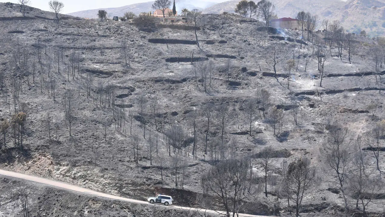 10-07-2026.- Europa Press . Incendio en la provincia de Almeria entre los pueblos de Bedar y los Gallardos en donde han fallecido 12 personas por ahora los medios de extincion siguen trabajando para extinguir las llamas. Foto: Javier Carrion/EP