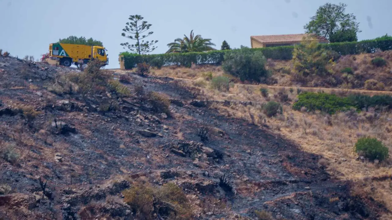 Imagen de la zona afectada por el paso del incendio de Los Gallardos.  