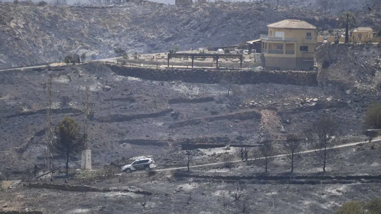 Terrenos calcinador por el incendio forestal, a 10 de julio de 2026, en Los Gallardos, Almer&iacute;a, Andaluc&iacute;a (Espa&ntilde;a). 