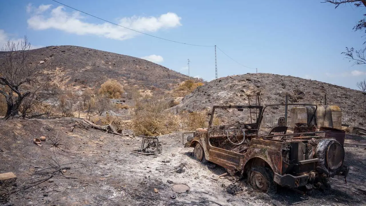 Zona afectada por el incendio de Los Gallardos (Almer&iacute;a).