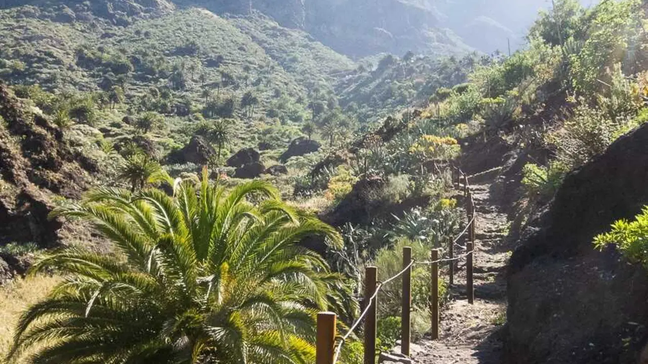 Archivo - Barranco de Masca