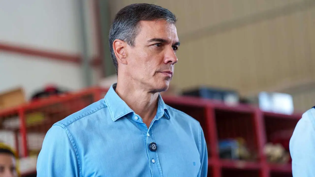 El presidente del Gobierno, Pedro S&aacute;nchez