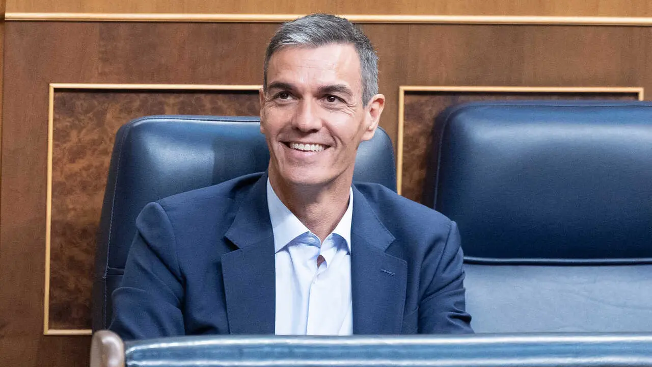 El presidente del Gobierno, Pedro S&aacute;nchez