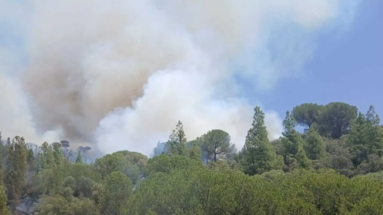 Incendio forestal en un paraje de Cerro Muriano, en C&oacute;rdoba, junto a la carretera N-432.