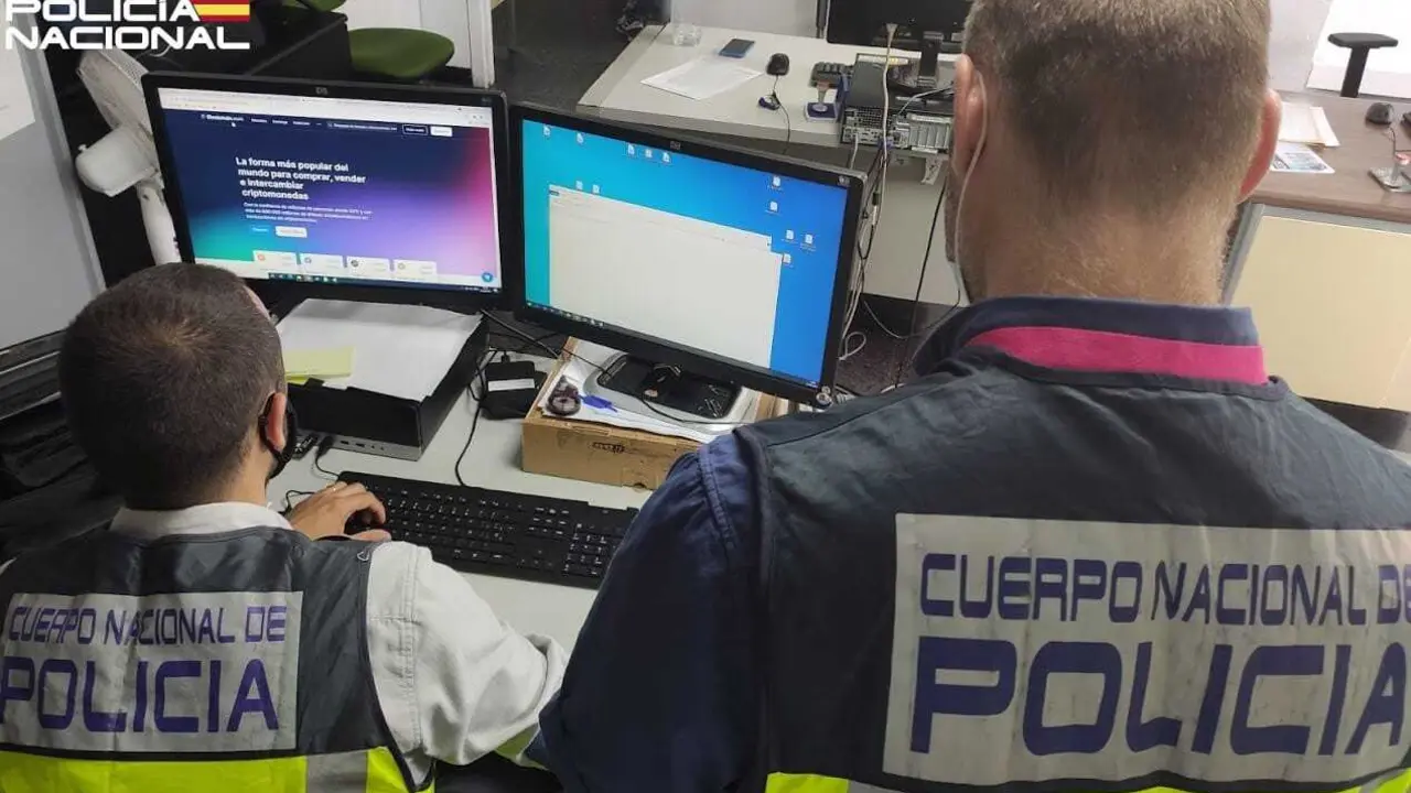 Dos agentes del  Grupo de Delincuencia Econ&oacute;mica y Delitos Tecnol&oacute;gicos de la Jefatura Superior de Polic&iacute;a de Baleares, de espaldas.
