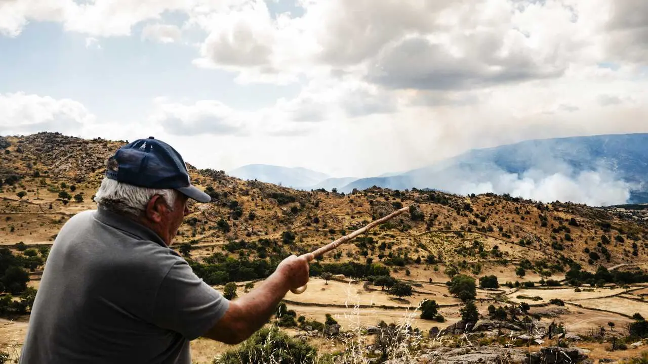 Yna persona se&ntilde;ala una columna de humo del fuego forestal, a 25 de julio de 2026, en Navaluenga, &Aacute;vila, Castilla y Le&oacute;n (Espa&ntilde;a). El incendio forestal de Burgohondo (&Aacute;vila)
