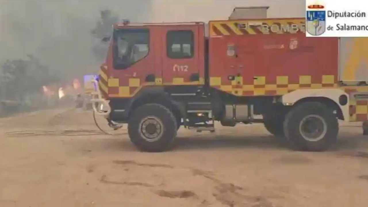 Los Bomberos de la Diputaci&oacute;n de Salamanca rescatan a 20 perros atrapados por el fuego en Cebreros (&Aacute;vila)