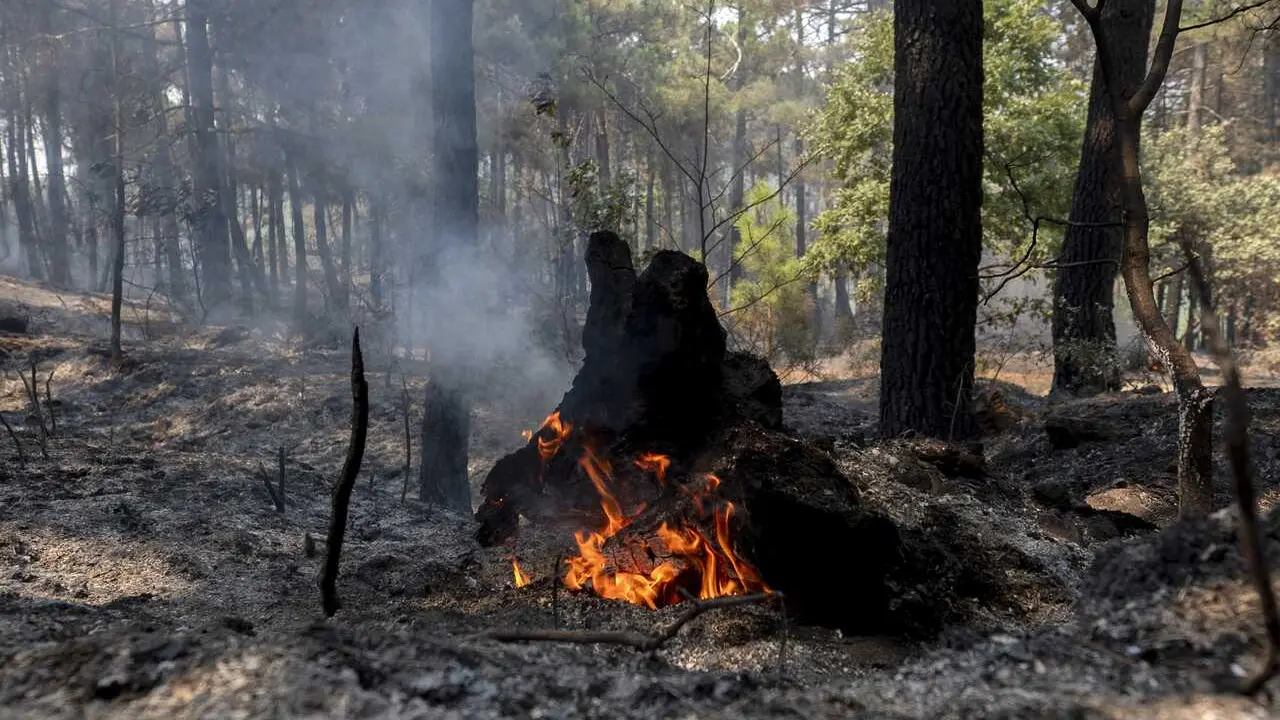 Puntos calientes tras el paso del incendio forestal, a 27 de julio de 2026, en Casillas, &Aacute;vila, Castilla y Le&oacute;n (Espa&ntilde;a). 
