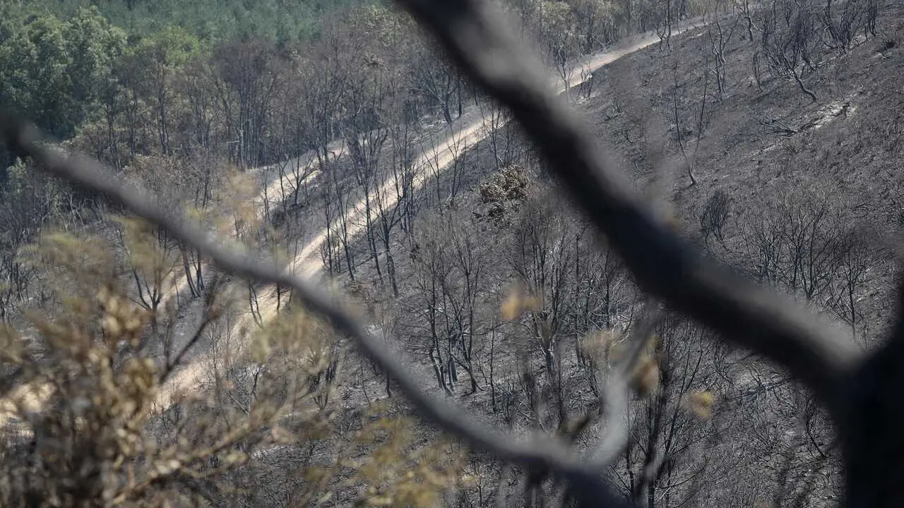 La Utrera, Valdesamario, Le&oacute;n. Incendio declarado en la tarde del martes y que oblig&oacute; a la declaraci&oacute;n como alerta 2 por proximidad a localidades. En estos momentos el fuego se encuentra perimetrado y controlado