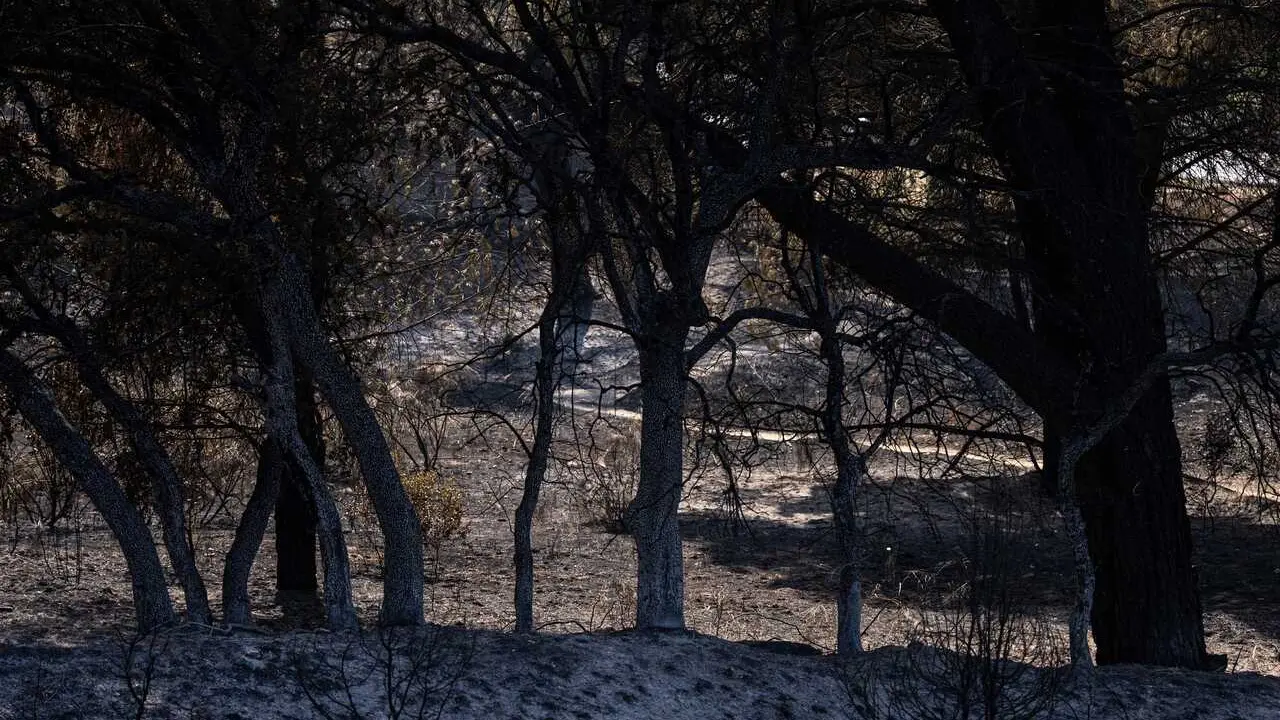 Zonas calcinadas en los alrededores del Pantano de San Juan tras el paso del incendio forestal en la Sierra Oeste de Madrid, a 28 de julio de 2026, en Madrid (Espa&ntilde;a). La intensa labor desarrollada durante la noche por el dispositivo de extinci&oacute;n ha permi