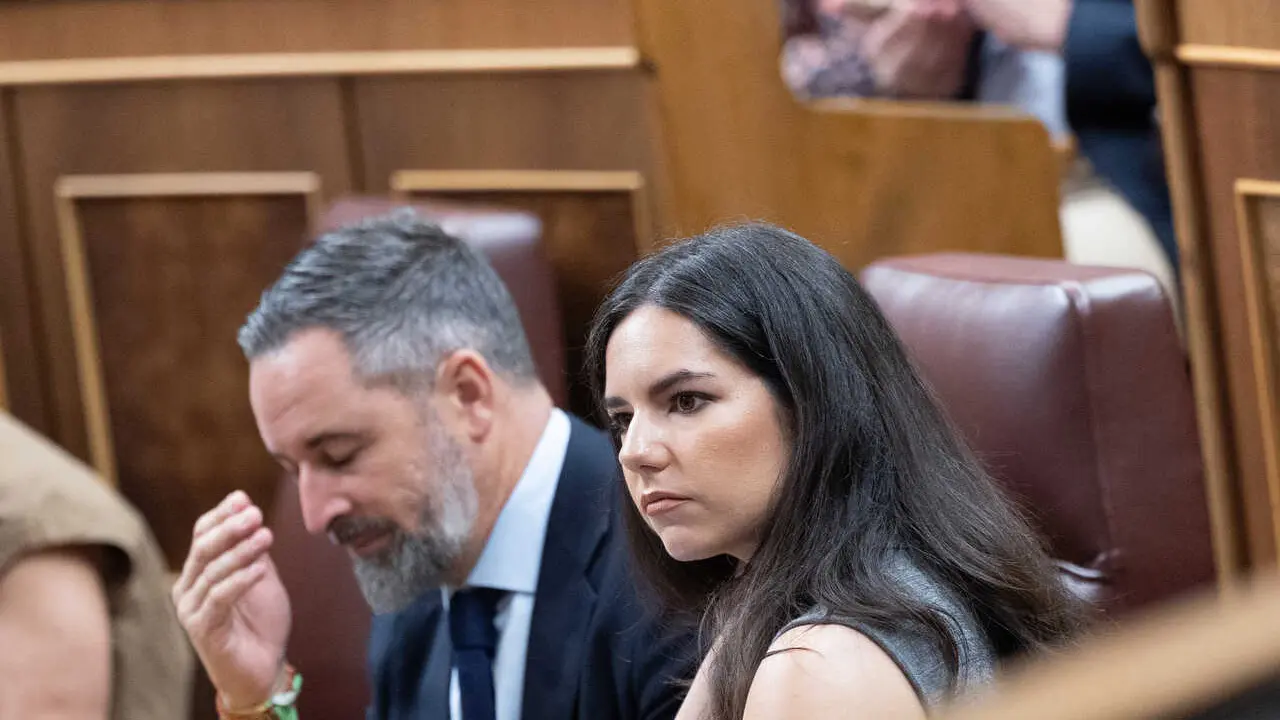 Archivo - El presidente Vox, Santiago Abascal, y la diputada de Vox, Pepa Mill&aacute;n, durante una sesi&oacute;n plenaria en el Congreso 