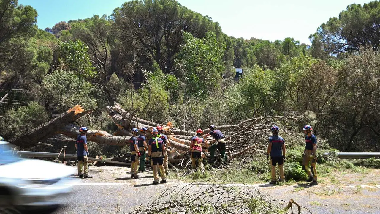 Zonas calcinadas tras el paso del incendio de la Sierra Oeste de Madrid, a 30 de julio de 2026, en Pelayos de la Presa, Madrid (Espa&ntilde;a). La Comunidad de Madrid ha recuperado el control del operativo contra el incendio forestal de la Sierra Oeste, que ya n