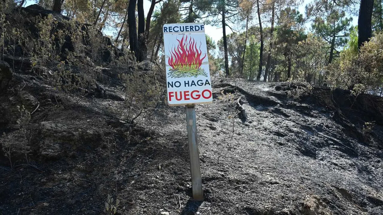 Zonas calcinadas tras el paso del incendio de la Sierra Oeste de Madrid, a 30 de julio de 2026, en Pelayos de la Presa, Madrid (Espa&ntilde;a). La Comunidad de Madrid ha recuperado el control del operativo contra el incendio forestal de la Sierra Oeste, que ya n