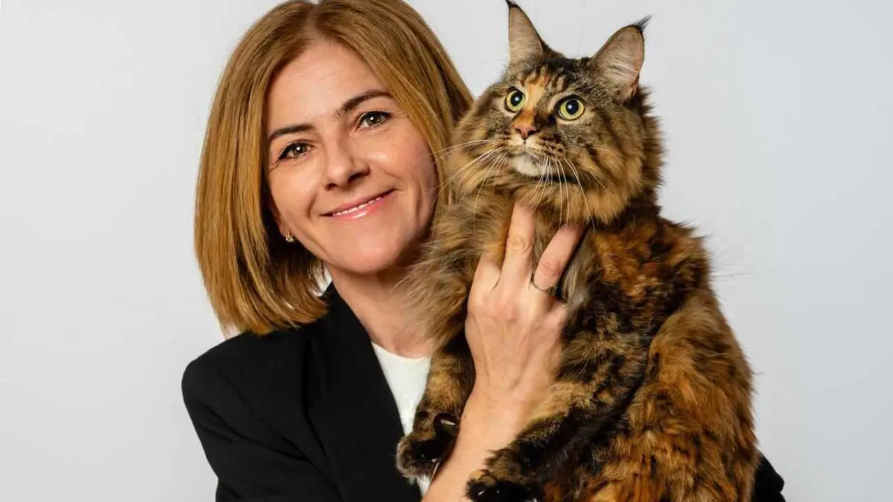 Sonia C&oacute;zar, experta en peluquer&iacute;a felinaSonia C&oacute;zar, experta en peluquer&iacute;a felina