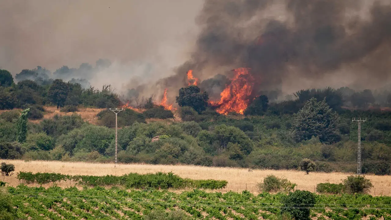 Vista del incendio forestal, a 25 de julio de 2026, en San Mart&iacute;n de Valdeiglesias, Madrid (Espa&ntilde;a). 