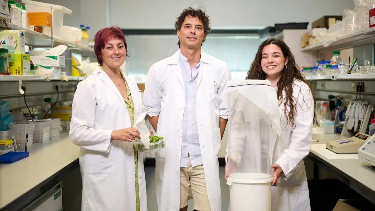 Archivo - De izq. A dcha.: Rosa Murillo P&eacute;rez, I&ntilde;igo Ruiz de Escudero Fuentemilla y Gemma C&aacute;rcamo Ochoa, en uno de los laboratorios del Instituto IMAB.