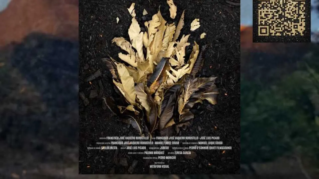 La Asociaci&oacute;n de Vecinos 'Las M&eacute;dulas' proyectar&aacute; un documental el 10 de agosto a las 22.00 horas en la plaza de Las M&eacute;dulas para recordar el incendio de 2025