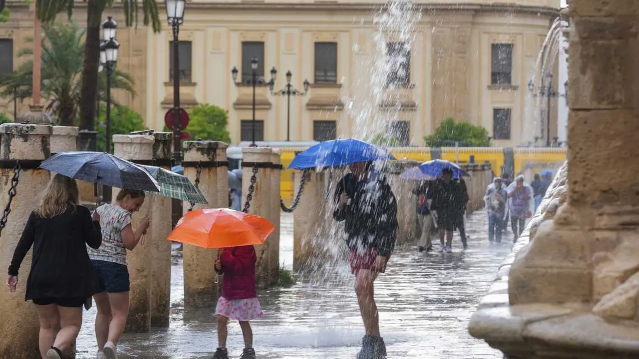 Archivo - Transe&uacute;ntes protegidos con paraguas durante las fuertes lluvias. A 19 de junio de 2024, en Sevilla (Andaluc&iacute;a, Espa&ntilde;a). Durante la jornada de hoy mi&eacute;rcoles algunas zonas de la provincia de Sevilla vivir&aacute; fuertes lluvias.