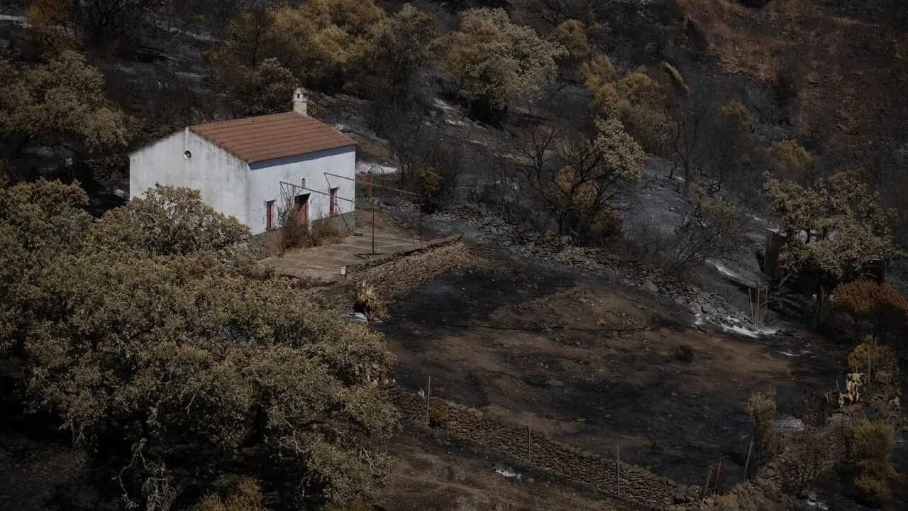 El incendio de Niebla deja un paisaje desolador en Berrocal (Huelva). Imagen de archivo. 