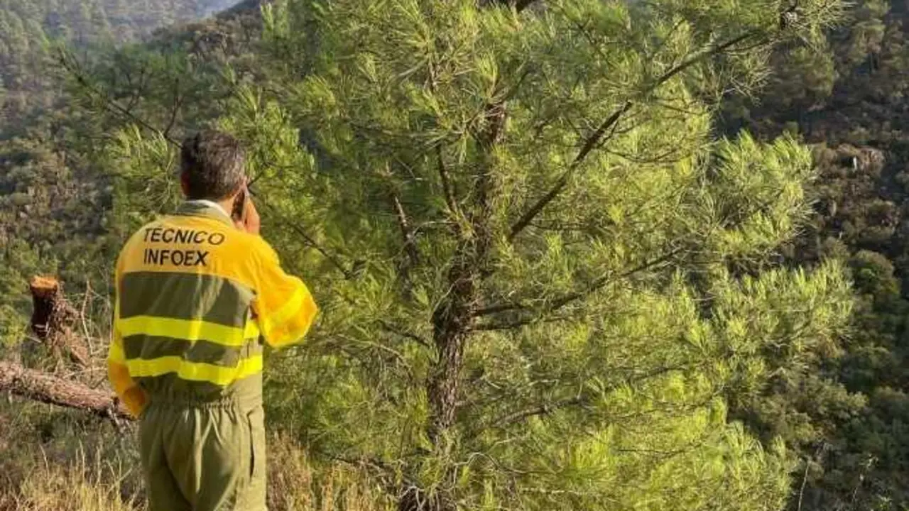 T&eacute;cnico del Plan Infoex en el incendio de Pinofranqueado (C&aacute;ceres).