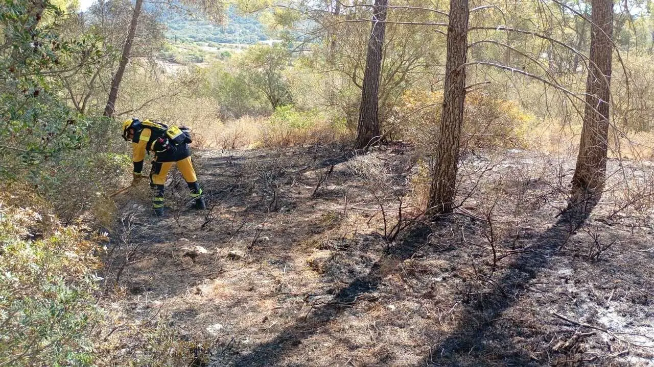 Incendio forestal en Llucmajor.