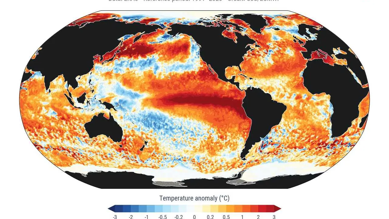 Anomal&iacute;as en la temperatura de la superficie del mar para el 22 de agosto de 2026.