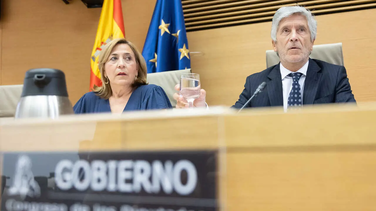 El ministro de Interior, Fernando Grande Marlasaka, durante una comparecencia ante la Comisi&oacute;n de Interior en el Congreso de los Diputados