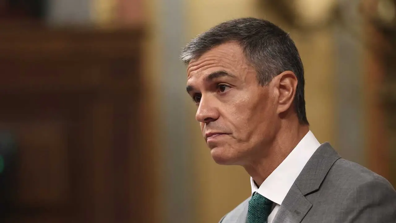El presidente del Gobierno, Pedro S&aacute;nchez