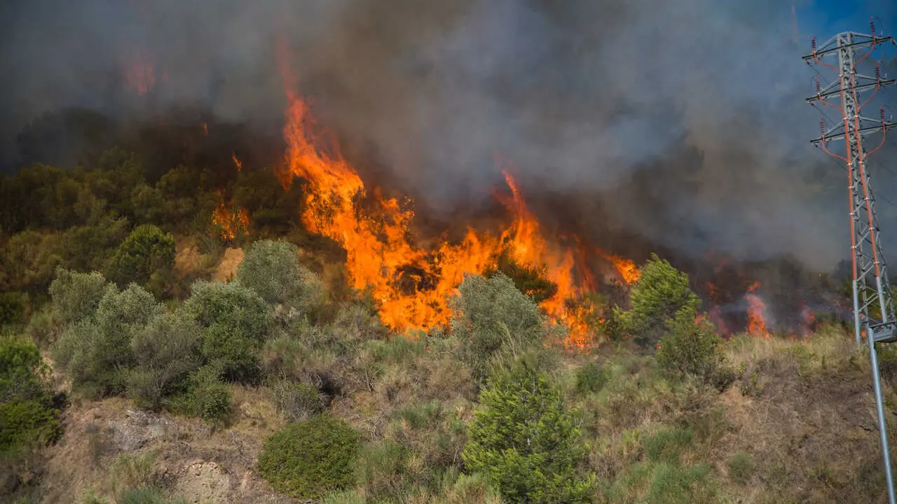 Archivo - El fuego cont&iacute;nua en las inmediaciones del pol&iacute;gono del Congost en Martorell, a 14 de julio de 2021, en Martorell, Barcelona, Catalunya (Espa&ntilde;a). 