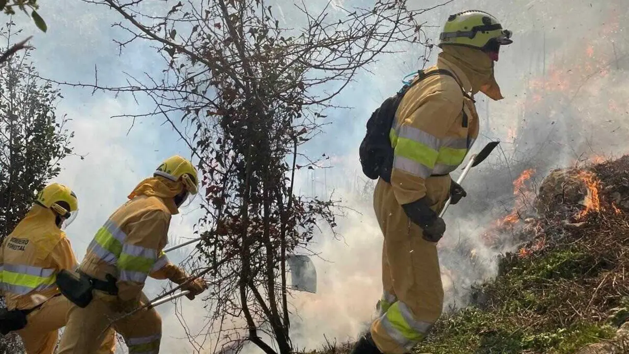 Archivo - Bomberos forestales