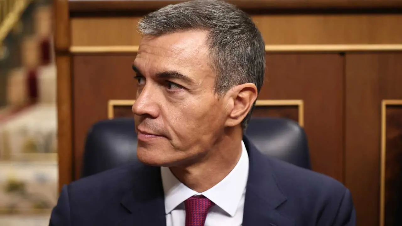El presidente del Gobierno, Pedro S&aacute;nchez, a su llegada a una sesi&oacute;n plenaria en el Congreso de los Diputados.