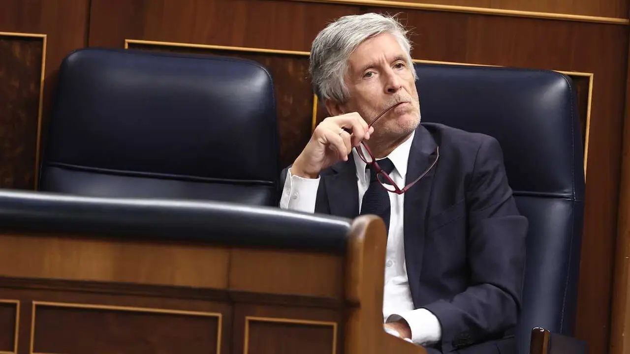 El ministro del Interior, Fernando Grande-Marlaska, durante una sesi&oacute;n plenaria en el Congreso de los Diputados