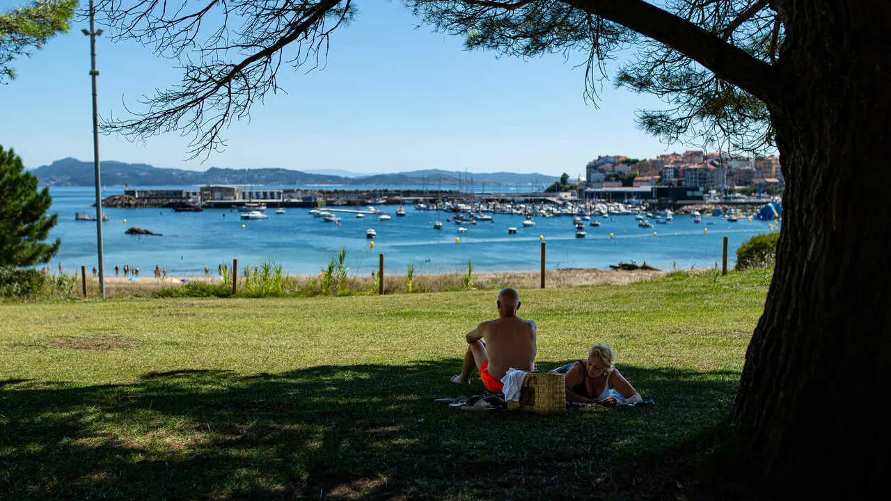 Archivo - Varias personas se refugian del sol bajo un &aacute;rbol, a 7 de agosto de 2023, en Pontevedra, Galicia (Espa&ntilde;a). amarillo estar&aacute; vigente en pr&aacute;cticamente todo el pa&iacute;s incluida zonas costeras como las R&iacute;as Baixas.