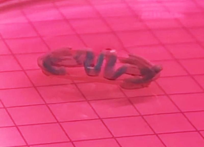 Biobot_IBEC_laterial-view