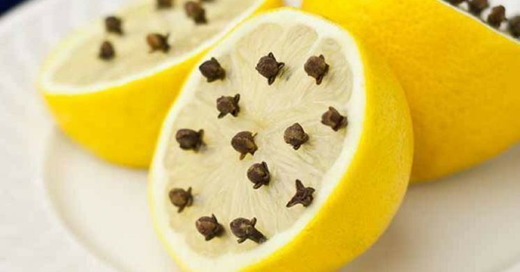 WhatsApp Image 2021-07-25 at 09.20.09 (1)