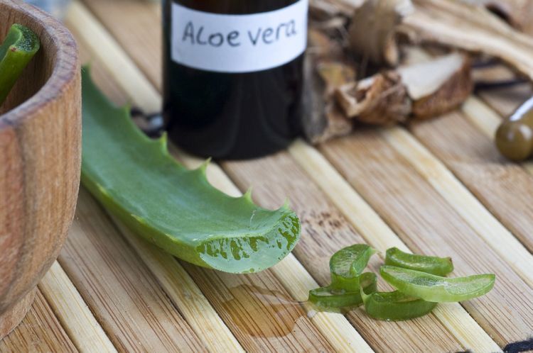 Aloe vera. Pinterest