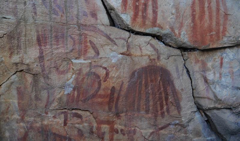 1628693567879CYP_1_EST