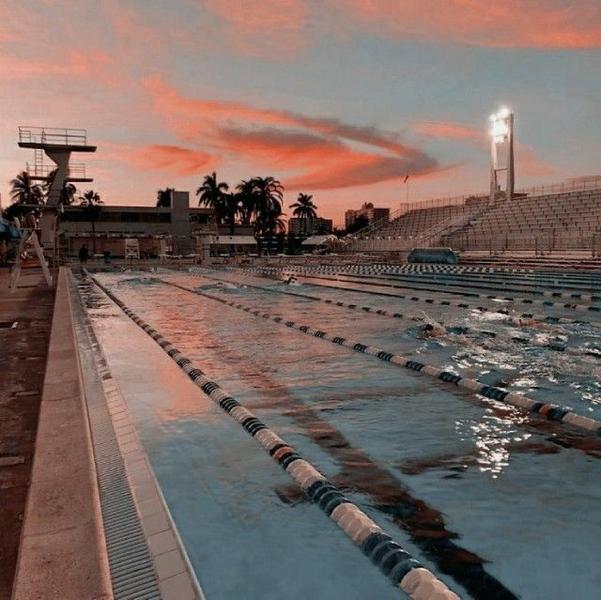 Natación. Pinterest.