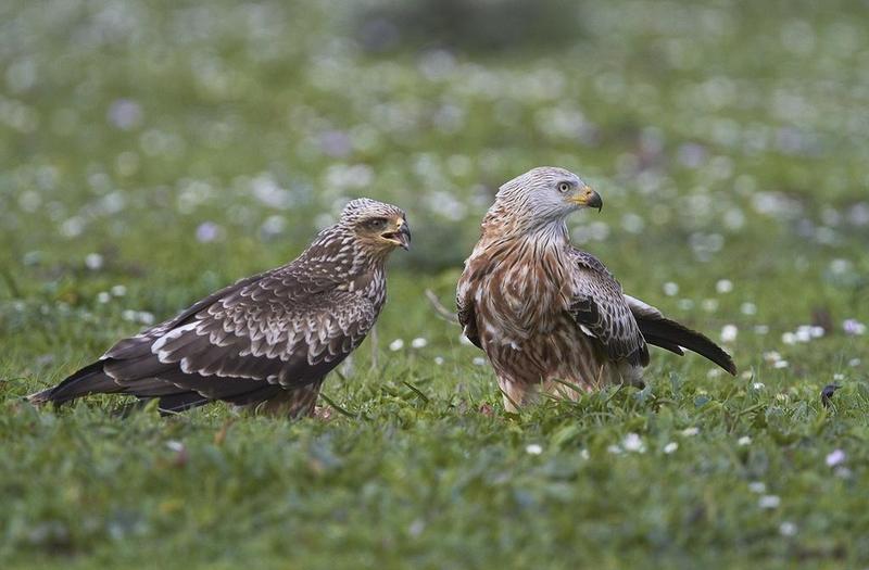 210821_Milano real 1