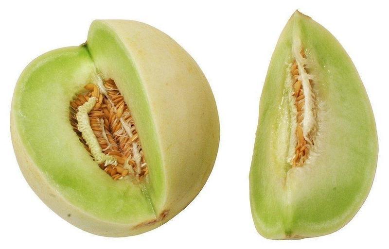 Melón.