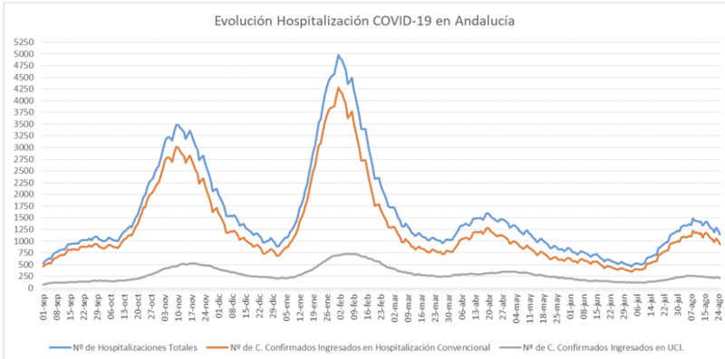 Captura de pantalla 2021-08-26 a las 13.53.47